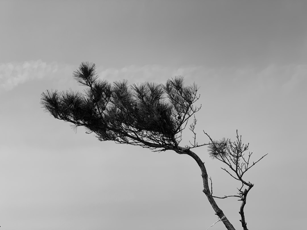 Photo winds meet