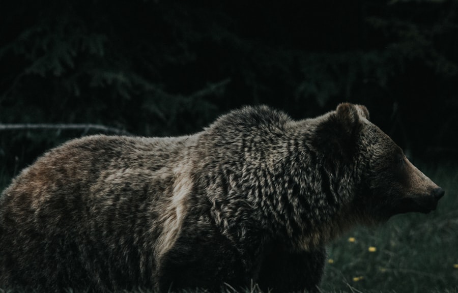 timberwolves vs golden state warriors timeline