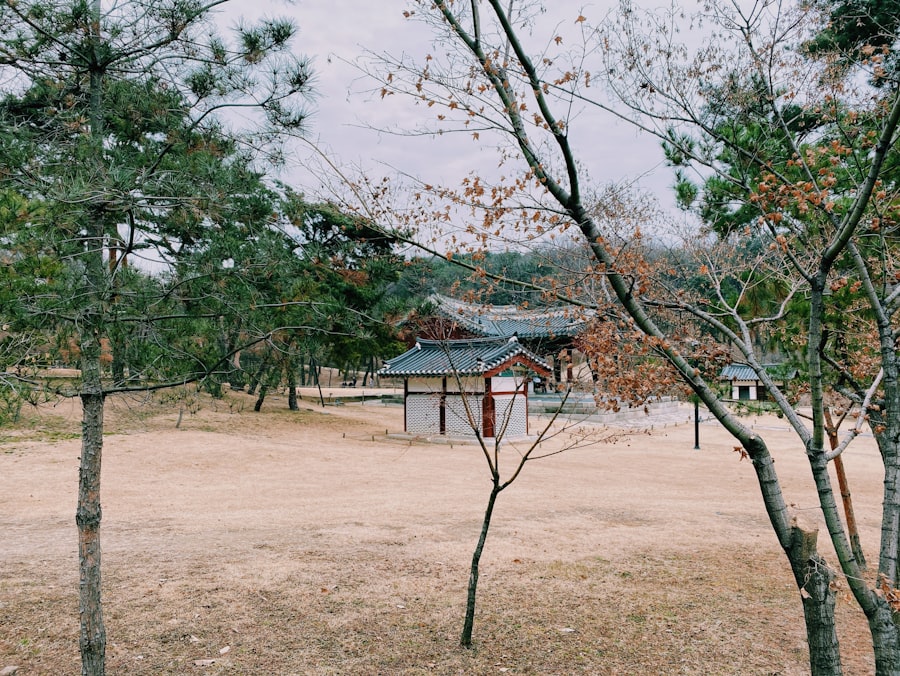 kwon
