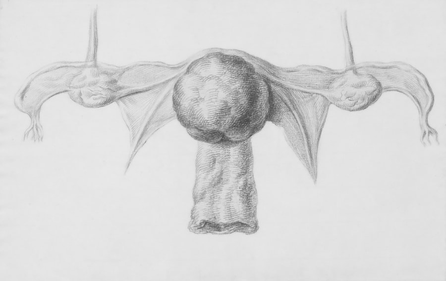 powerball drawing days