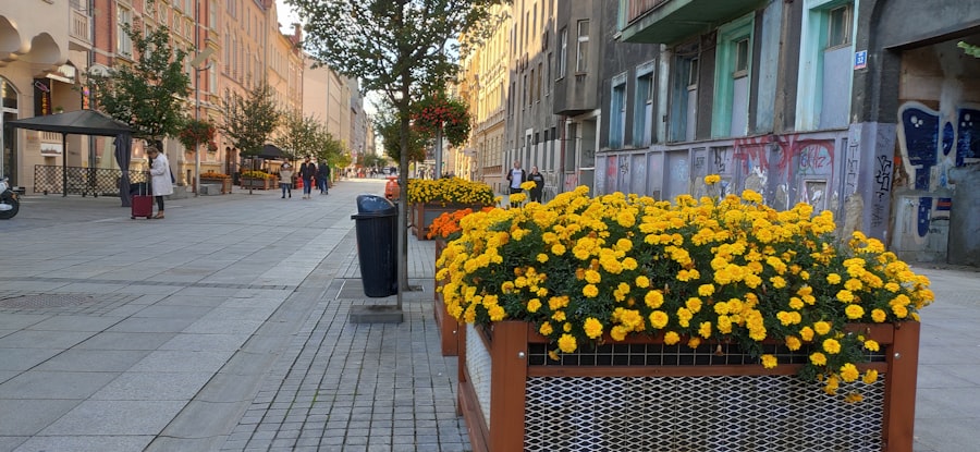 Katowice