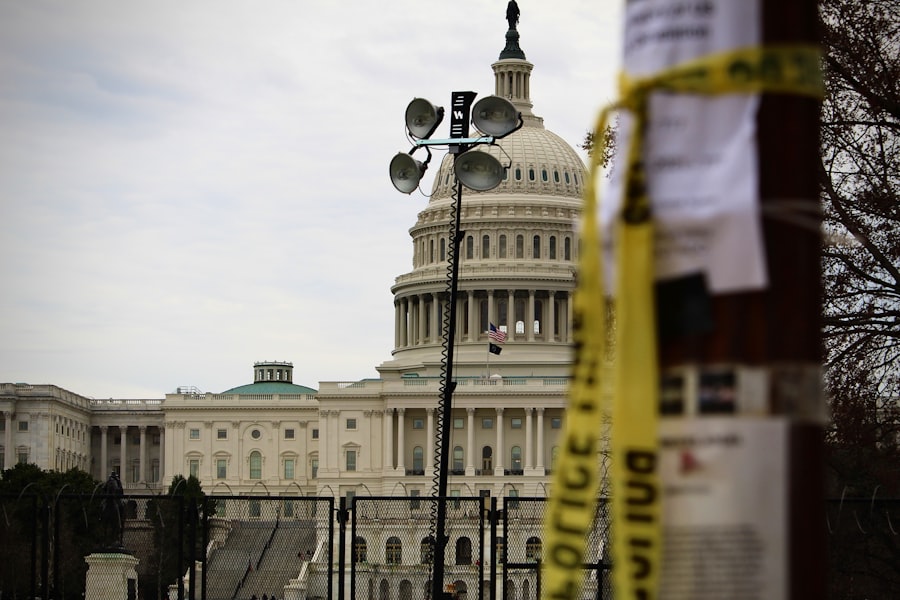 homeland security investigations