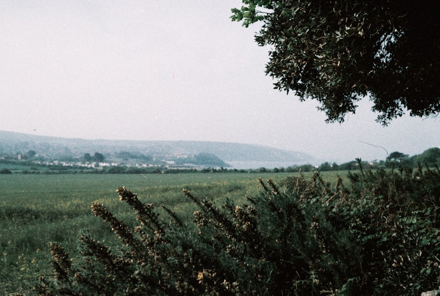 colston loveland