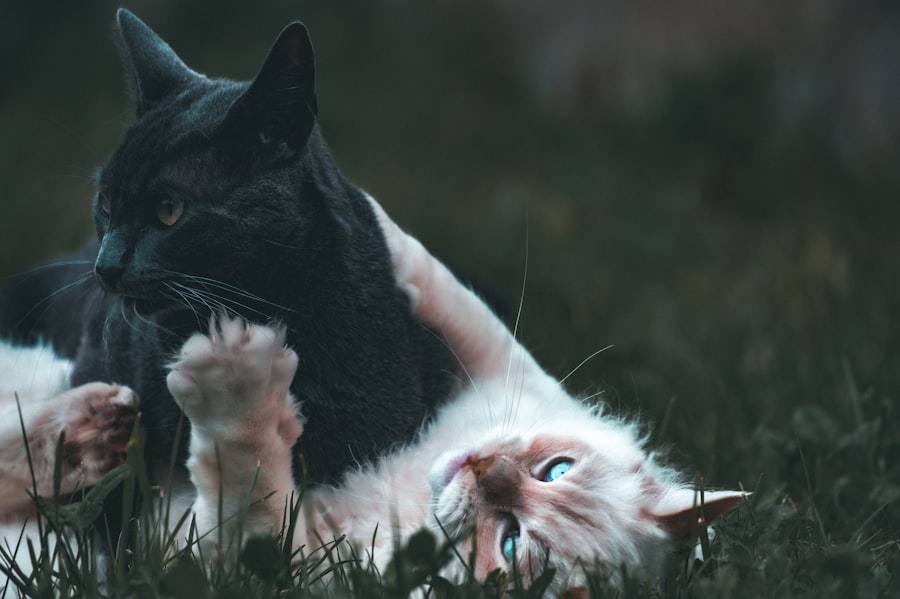 Photo natalie kotkova