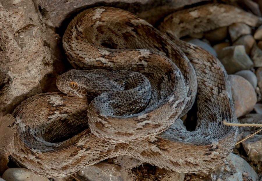 Photo mysonne linen