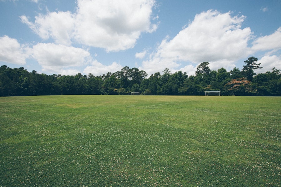 Photo lawn