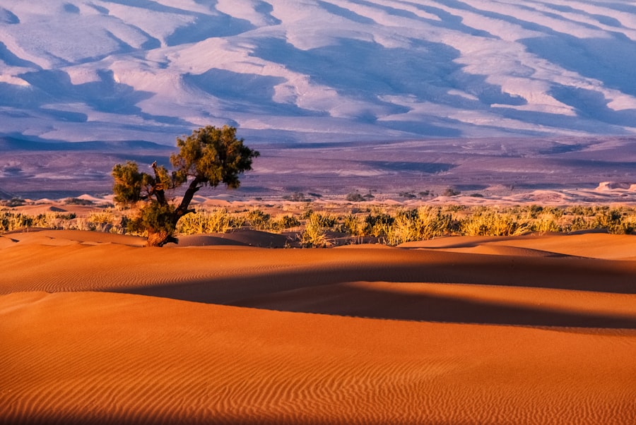 Photo morocco
