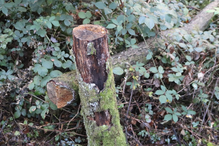 Photo richard smallwood