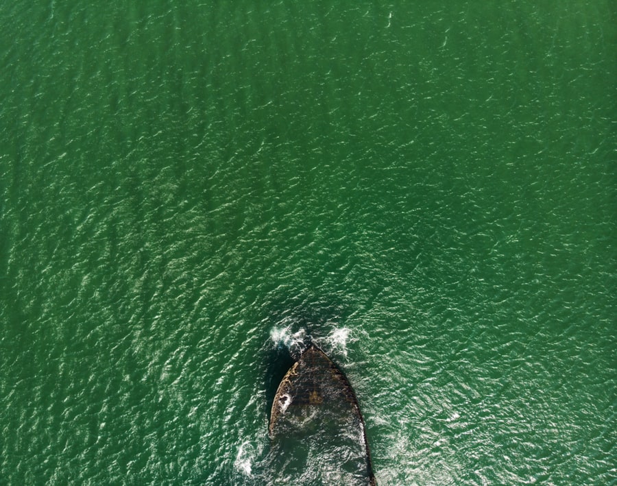 Photo seattle kraken