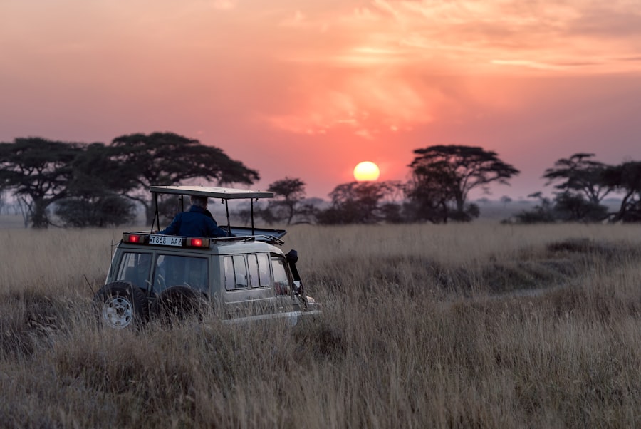 Photo africa