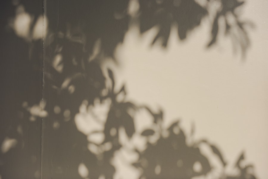 Photo mega darkrai