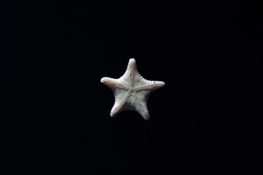 Photo sinking star